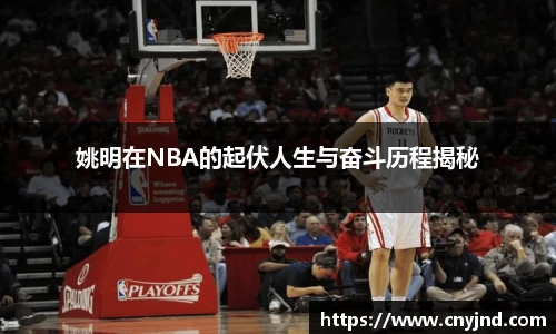 非凡娱乐官网