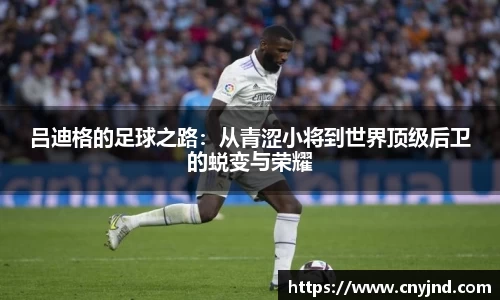 非凡娱乐
